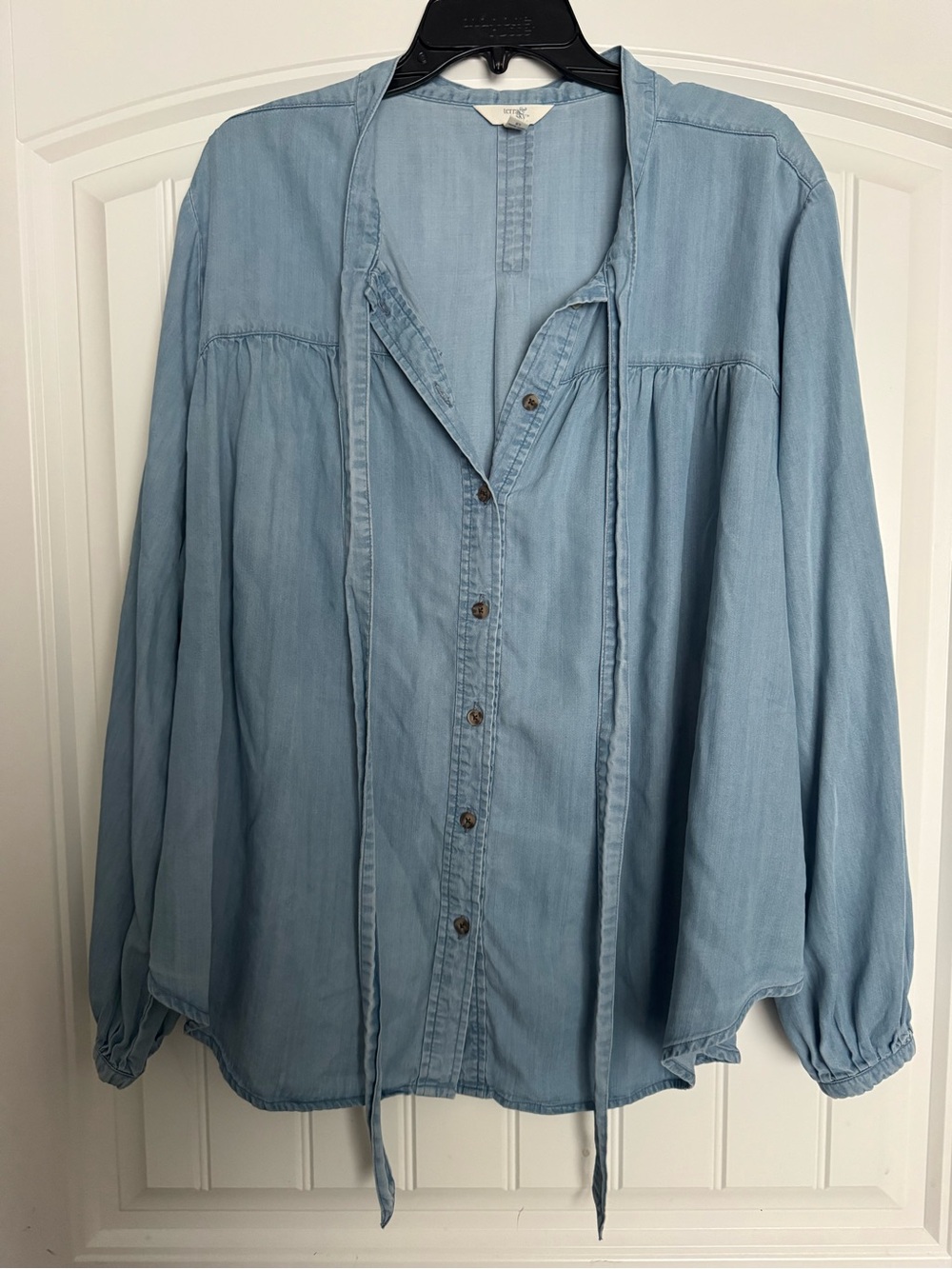 Terra & Sky Light Blue Button-Down Peasant Shirt
